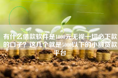 有什么借款软件是1000元无视一切必下款的口子？这几个就是5000以下的小额贷款平台