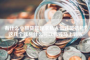 有什么小额贷款是求私人借钱微信号？这几个就是什么可以借钱马上到账