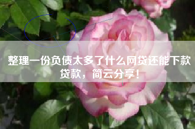 整理一份负债太多了什么网贷还能下款贷款，简云分享！