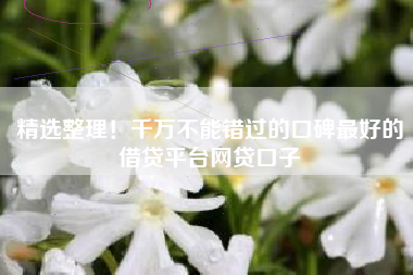 精选整理！千万不能错过的口碑最好的借贷平台网贷口子