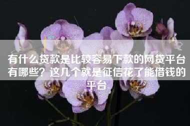 有什么贷款是比较容易下款的网贷平台有哪些？这几个就是征信花了能借钱的平台
