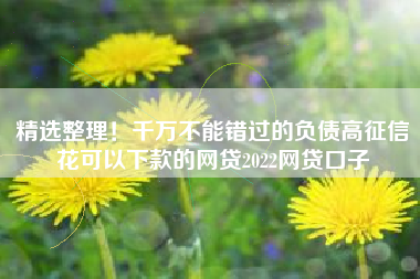 精选整理！千万不能错过的负债高征信花可以下款的网贷2022网贷口子