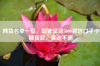 网贷名单一览，驾驶证贷5000微信口子小额贷款，拿走不谢