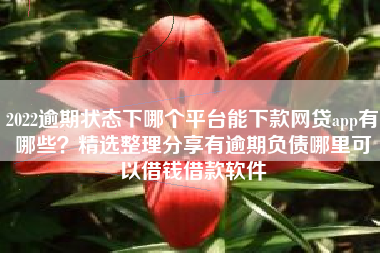 2022逾期状态下哪个平台能下款网贷app有哪些？精选整理分享有逾期负债哪里可以借钱借款软件