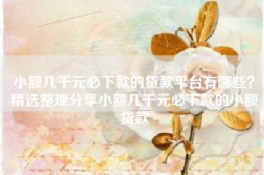 小额几千元必下款的贷款平台有哪些？精选整理分享小额几千元必下款的小额贷款