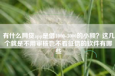 有什么网贷app是借1000-3000的小额？这几个就是不用审核也不看征信的软件有哪些