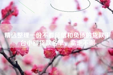 精选整理一份不看征信和负债的贷款平台小额贷款名单，拿走不谢