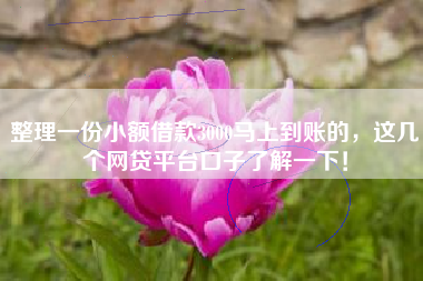 整理一份小额借款3000马上到账的，这几个网贷平台口子了解一下！