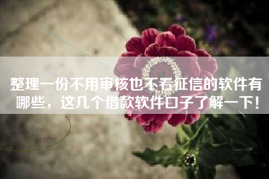 整理一份不用审核也不看征信的软件有哪些，这几个借款软件口子了解一下！