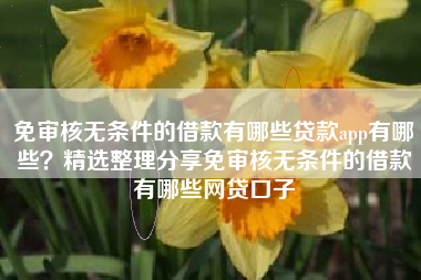免审核无条件的借款有哪些贷款app有哪些?精选整理分享免审核无条件的借款有哪些网贷口子 免审核无条件的借款有哪些贷款app有哪些?精选整理分享免审核无条件的借款有哪些网贷口子