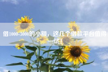 借1000-3000的小额,这几个借款平台值得一试! 借1000-3000的小额,这几个借款平台值得一试!