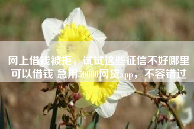 网上借钱被拒，试试这些征信不好哪里可以借钱 急用50000网贷app，不容错过