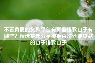 不看负债的贷款平台有哪些借款口子有哪些？精选整理分享被拒百次还能贷款的口子借款口子