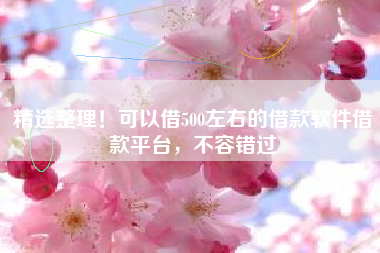 精选整理！可以借500左右的借款软件借款平台，不容错过
