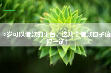 18岁可以借款的平台，这几个借款口子值得一试！
