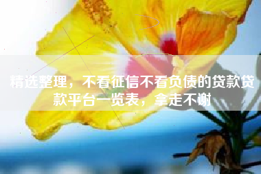 精选整理，不看征信不看负债的贷款贷款平台一览表，拿走不谢