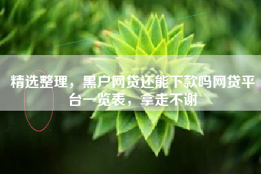 精选整理，黑户网贷还能下款吗网贷平台一览表，拿走不谢