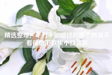 精选整理！千万不能错过的哪个网贷不看征信下款快小额贷款