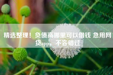 精选整理！负债高哪里可以借钱 急用网贷app，不容错过