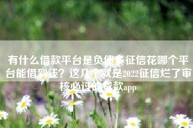 有什么借款平台是负债多征信花哪个平台能借到钱？这几个就是2022征信烂了审核必过的贷款app