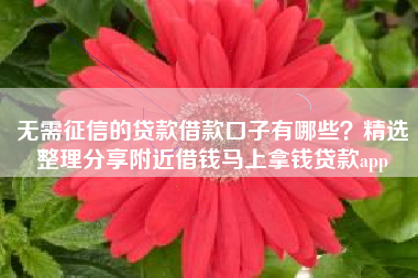 无需征信的贷款借款口子有哪些？精选整理分享附近借钱马上拿钱贷款app