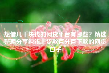 想借几千块钱的网贷平台有哪些？精选整理分享纯线上贷款百分百下款的网贷口子