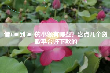 借1000到5000的小额有哪些？盘点几个贷款平台好下款的
