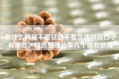有什么网贷不看征信不看负债网贷口子有哪些？精选整理分享几个借款软件