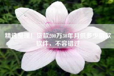 精选整理！贷款200万30年月供多少借款软件，不容错过