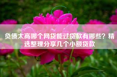 负债太高哪个网贷能过贷款有哪些?精选整理分享几个小额贷款 负债太高哪个网贷能过贷款有哪些?精选整理分享几个小额贷款