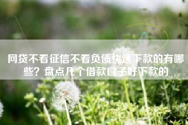网贷不看征信不看负债快速下款的有哪些？盘点几个借款口子好下款的