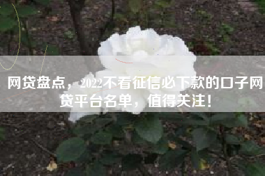 网贷盘点,2022不看征信必下款的口子网贷平台名单,值得关注! 网贷盘点,2022不看征信必下款的口子网贷平台名单,值得关注!