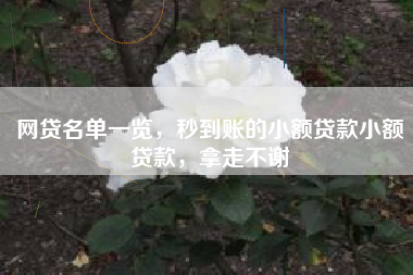 网贷名单一览,秒到账的小额贷款小额贷款,拿走不谢 网贷名单一览,秒到账的小额贷款小额贷款,拿走不谢