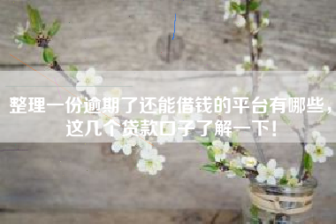 整理一份逾期了还能借钱的平台有哪些,这几个贷款口子了解一下! 整理一份逾期了还能借钱的平台有哪些,这几个贷款口子了解一下!