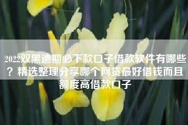 2022双黑逾期必下款口子借款软件有哪些？精选整理分享哪个网贷最好借钱而且额度高借款口子