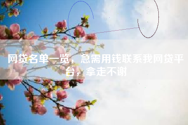 网贷名单一览，急需用钱联系我网贷平台，拿走不谢