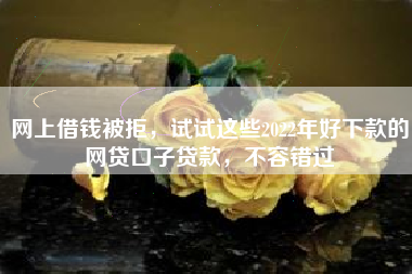 网上借钱被拒，试试这些2022年好下款的网贷口子贷款，不容错过