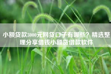 小额贷款3000元网贷口子有哪些？精选整理分享借钱小额贷借款软件