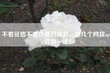 不看征信不看负债的贷款，这几个网贷app值得一试！