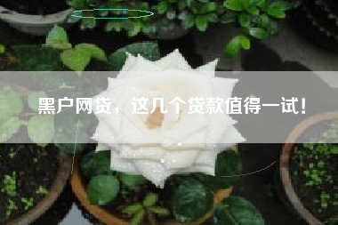 黑户网贷，这几个贷款值得一试！