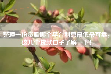 整理一份贷款哪个平台利息最低最可靠，这几个贷款口子了解一下！