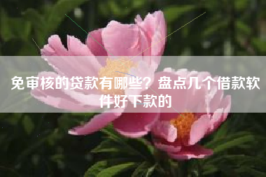 免审核的贷款有哪些？盘点几个借款软件好下款的