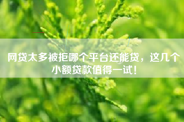网贷太多被拒哪个平台还能贷，这几个小额贷款值得一试！