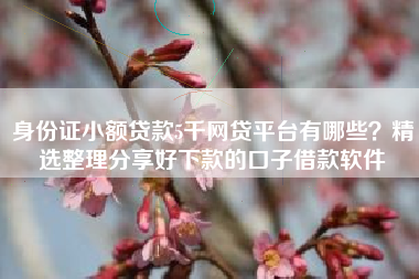 身份证小额贷款5千网贷平台有哪些？精选整理分享好下款的口子借款软件