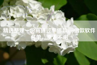 精选整理一份高通过率借款app借款软件名单，拿走不谢