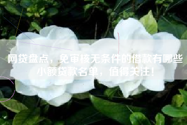 网贷盘点,免审核无条件的借款有哪些小额贷款名单,值得关注! 网贷盘点,免审核无条件的借款有哪些小额贷款名单,值得关注!
