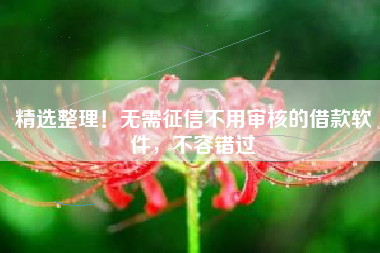 精选整理！无需征信不用审核的借款软件，不容错过