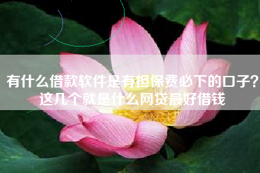 有什么借款软件是有担保费必下的口子？这几个就是什么网贷最好借钱
