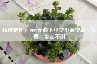 精选整理，1000元必下小贷小额贷款一览表，拿走不谢
