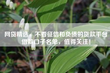 网贷精选，不看征信和负债的贷款平台借款口子名单，值得关注！